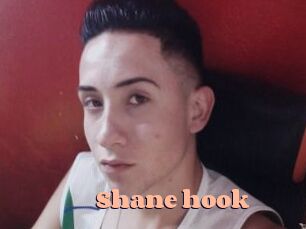 Shane_hook