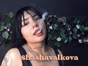 shashavalkova Chatte Rasée