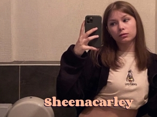 sheenacarley Chatte Rasée