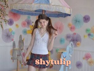 shytulip Chatte Rasée