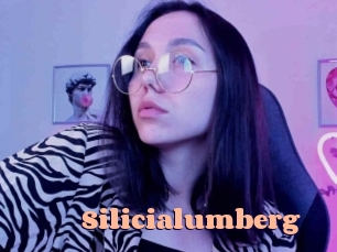 Silicialumberg