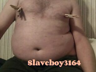 Slaveboy3164