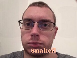 Snakefl