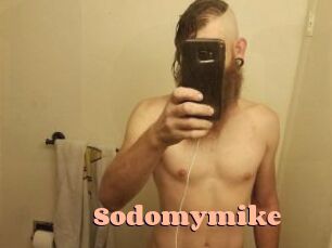 Sodomymike