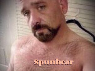 spunbear Chatte Rasée