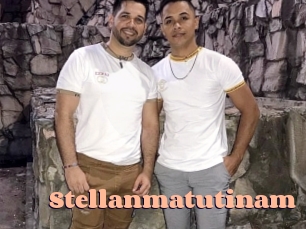 stellanmatutinam Chatte Rasée