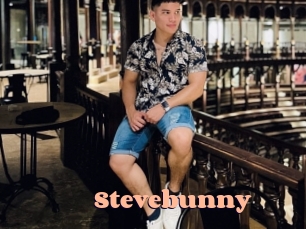 Stevebunny
