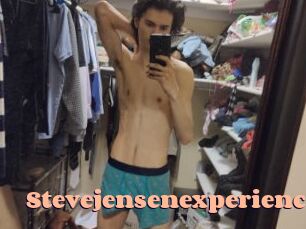 Stevejensenexperience
