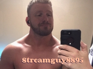 Streamguy8895