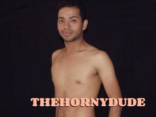 THEHORNYDUDE