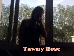 Tawny_Rose