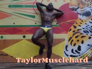 TaylorMusclehard