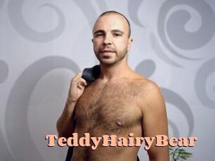 TeddyHairyBear