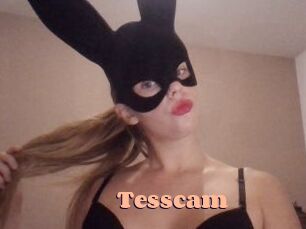 Tesscam