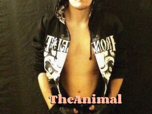 TheAnimal Chatte Rasée