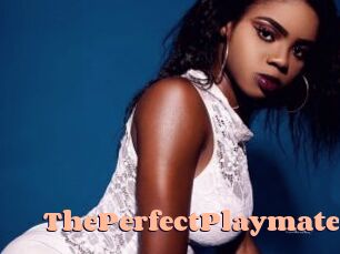 ThePerfectPlaymate