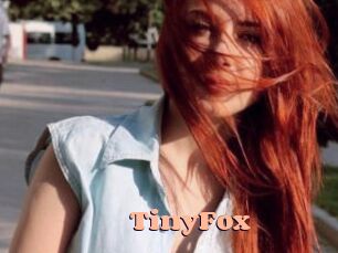 TinyFox