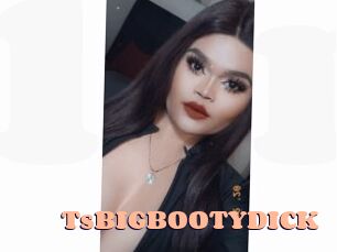 TsBIGBOOTYDICK