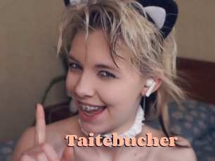 Taitebucher