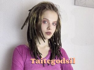Taitegodsil