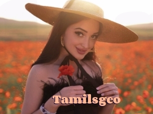 Tamilsgeo