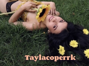 taylacoperrk Chatte Rasée