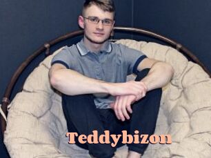 Teddybizon