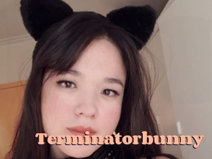Terminatorbunny