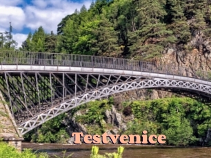 Testvenice