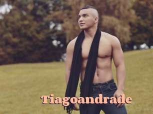 tiagoandrade Chatte Rasée
