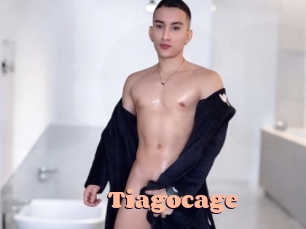 tiagocage Chatte Rasée