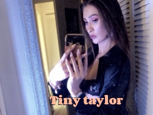 Tiny_taylor