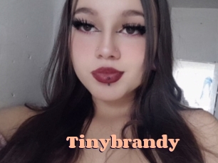 Tinybrandy