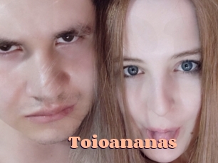 toioananas Chatte Rasée