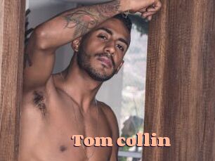 tom_collin Chatte Rasée