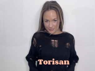 Torisan