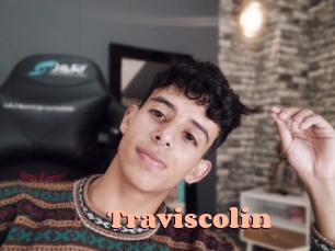 traviscolin Chatte Rasée