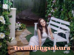 Tremblingsakura