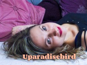 uparadisebird Chatte Rasée