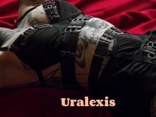 uralexis Chatte Rasée