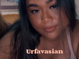 urfavasian Chatte Rasée