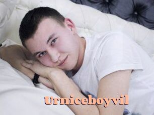 urniceboyvil Chatte Rasée