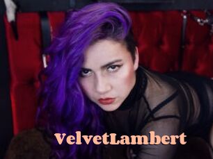 VelvetLambert