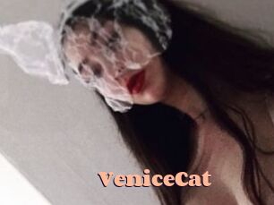 VeniceCat