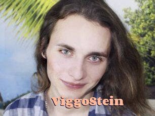 ViggoStein