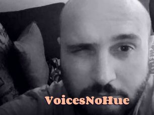 VoicesNoHue