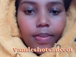 Vamleshotsauce01