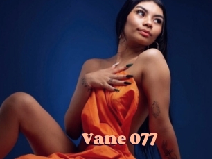 Vane_077