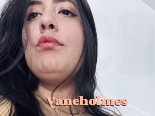 Vaneholmes