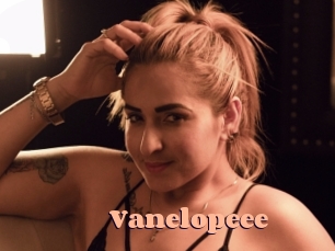 vanelopeee Chatte Rasée